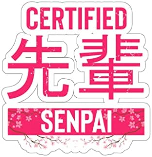 20 грама Изолирано Бутилка Хумористичен Сертифициран Преподавател на Японската Манга Senpai Менторство Весел