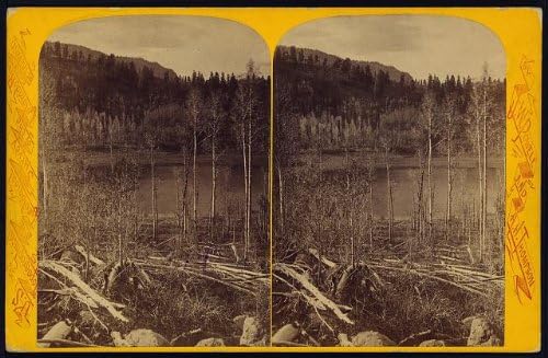 Снимка на исторически находки: Фотография стереографа, Bi-Лейк, Пейзаж, Природа, Уосатч, Джеймс Феннимор,1872