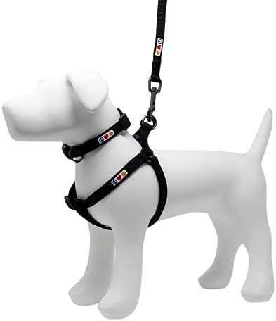 Комплект Pawtitas Value Пакет Set | Голяма Шлейка за кучета + Голям Нашийник за кучета + Среден / Голям 6-крак Каишка за кучета - Черен Комплект