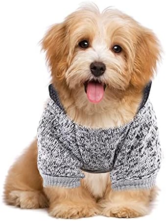 Рокля за малко Кученце, Пуловер, Есенно-Зимна Hoody За домашни любимци, за да е Подходяща По Цвят, Двуногая